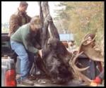 Moose Hunting